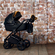 Детская модульная коляска 3 в 1 Reindeer Raven 2019Детская модульная коляска 3 в 1 Reindeer Raven 2019
